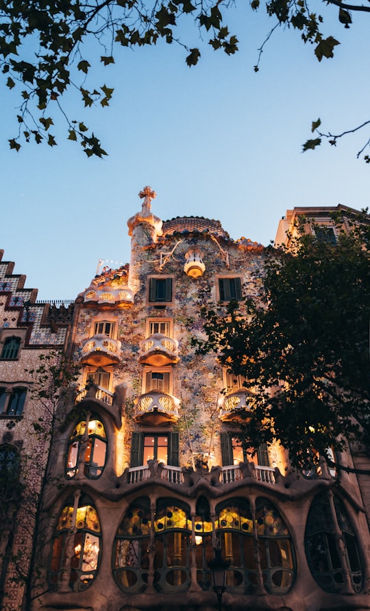 brwon and black cathedrla in Casa Batlló Spain