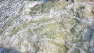 Foamy and turbulent water surface with churning waves and a mixture of white and green hues.
