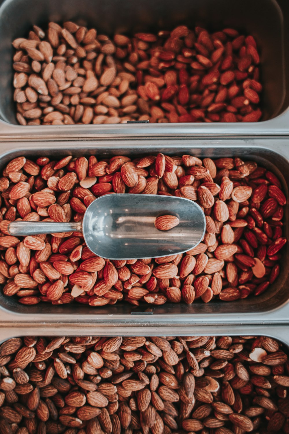 gray scoop on tray of nut