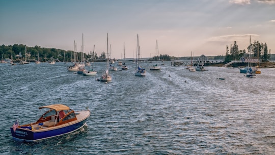 A scenic harbor filled with numerous sailboats and yachts gently floating on the water. In the forefront, a small, blue motorboat with a wooden deck and an American flag at the stern floats in the shimmering sunlight. The background is lined with lush green trees and distant buildings on the shore under a partly cloudy sky.