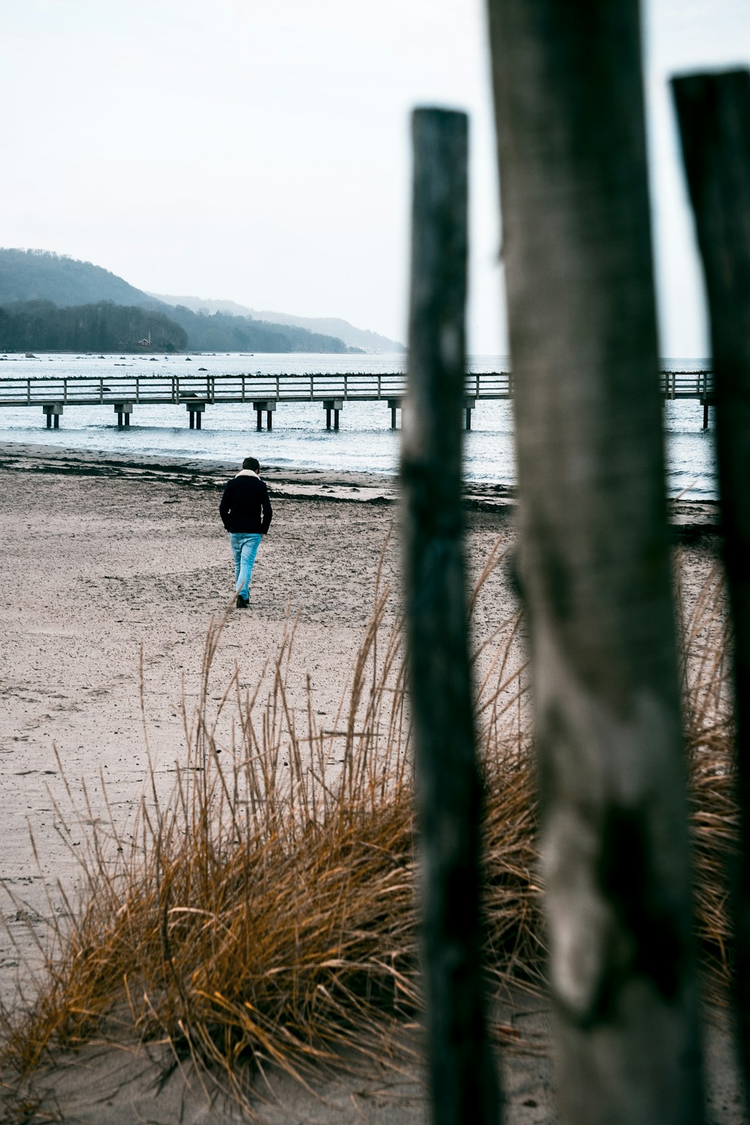 person walking towards seashore during daytime