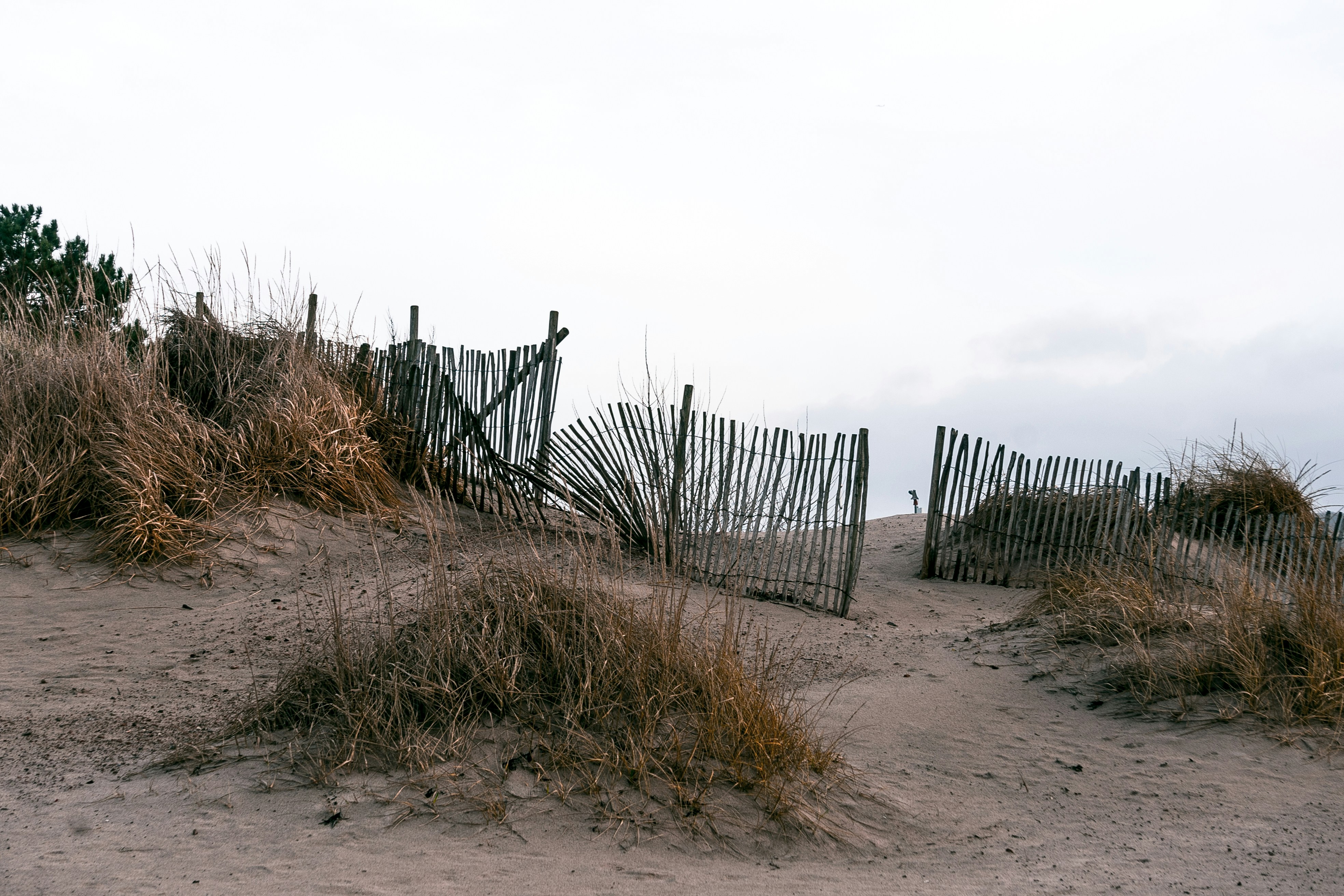 Photo by karljkhedin