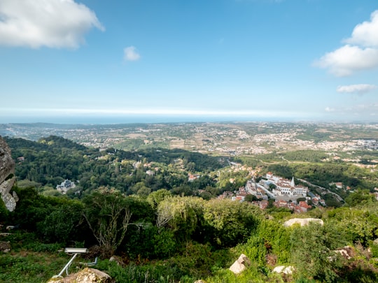 aerial view of city during daytime in Sintra-Cascais Natural Park Portugal