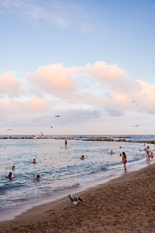 people at the beach during daytime in La Barceloneta Spain