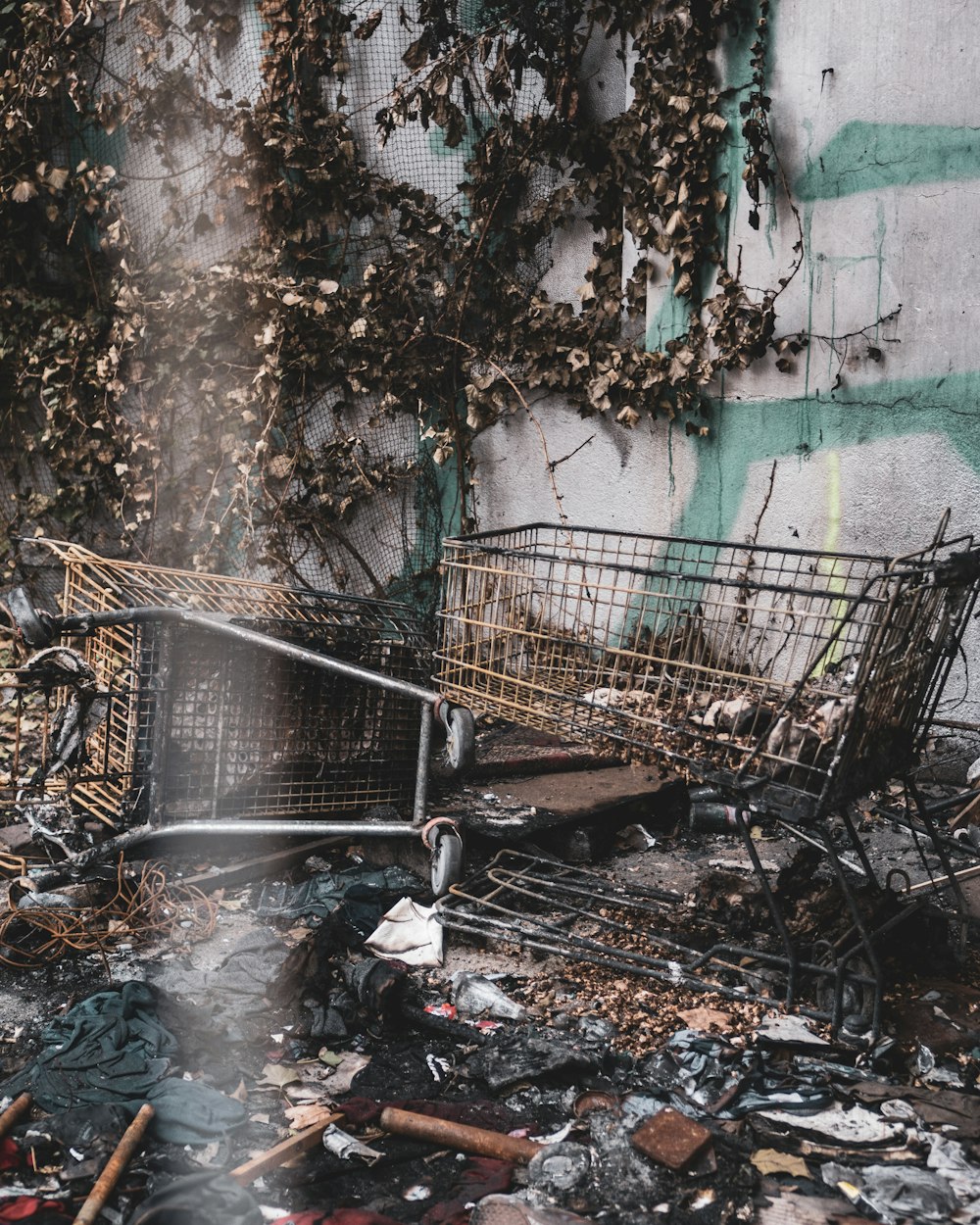 two grocery carts near wall during daytime