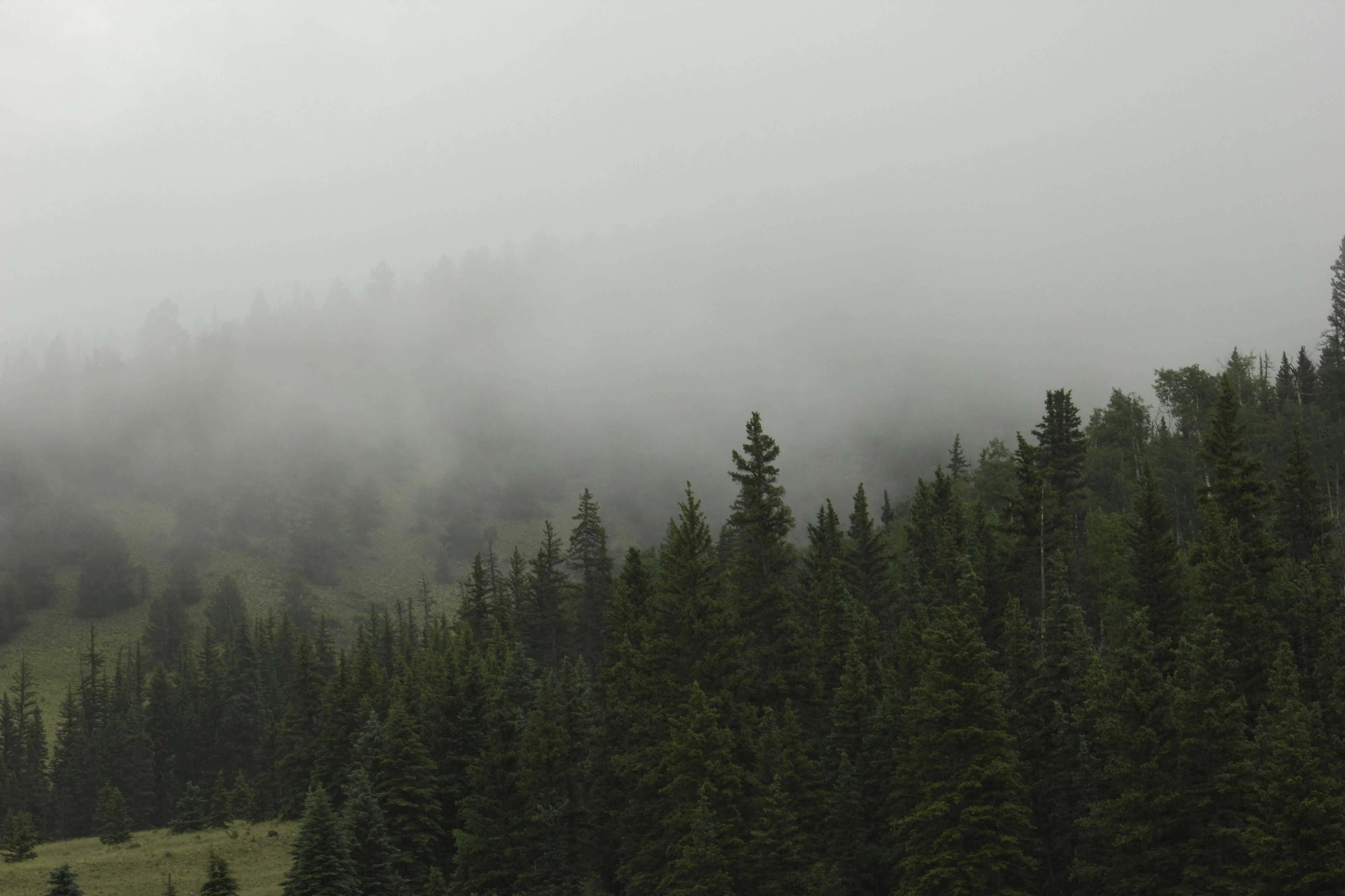 Photo by leslie_outofdoors