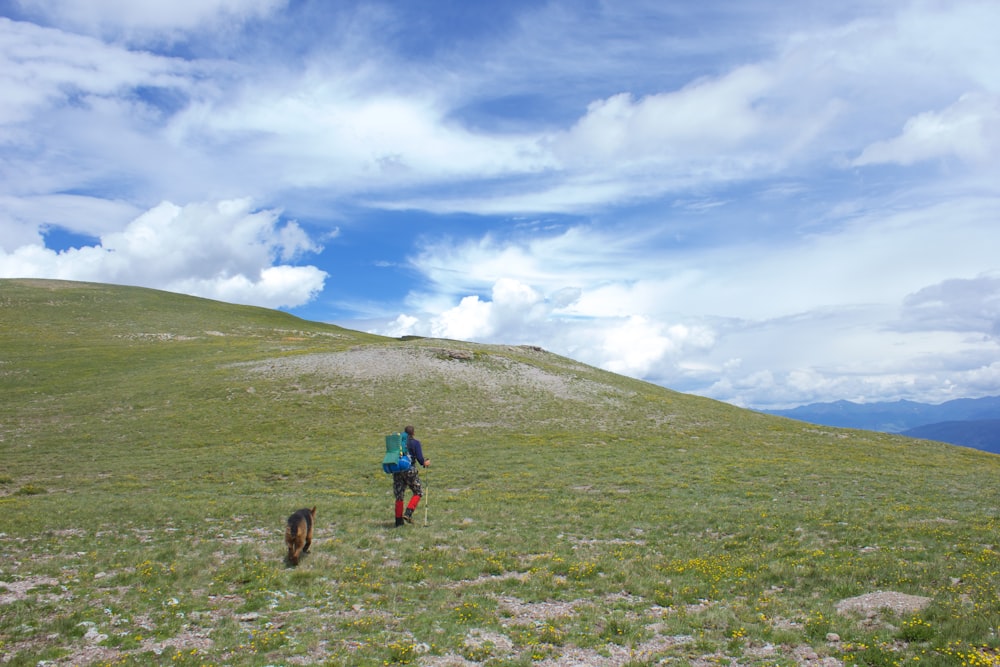 personne en veste bleue marchant sur un champ d’herbe verte pendant la journée