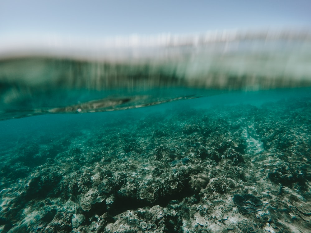 body of water during daytime