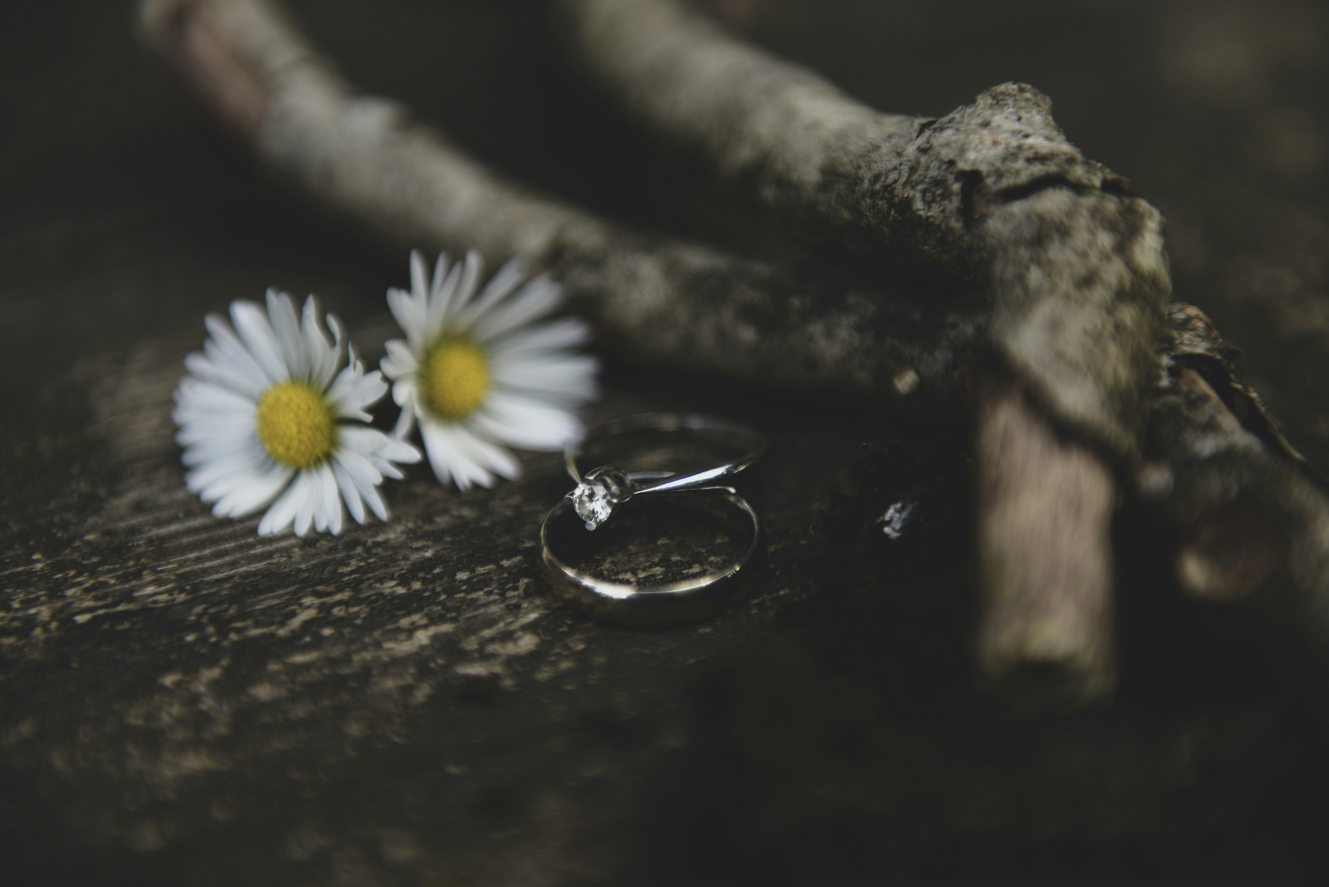 romantic engagement wallpaper, wallpaper, Getting Engaged: First Steps to Take 2