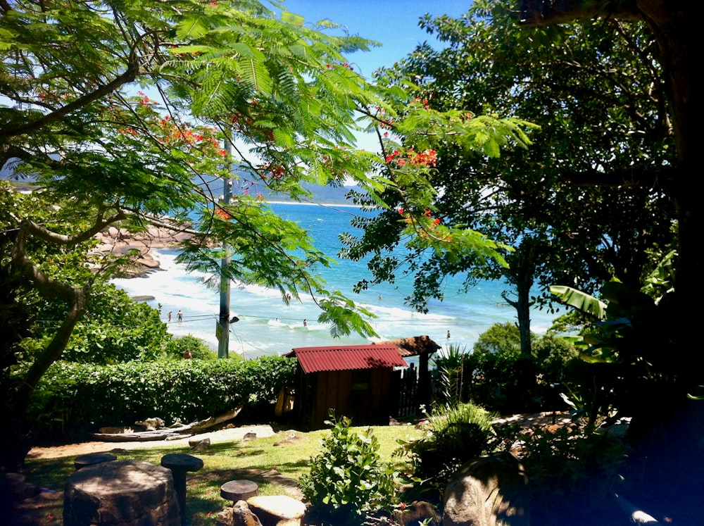 brown wooden house near green trees and body of water during daytime