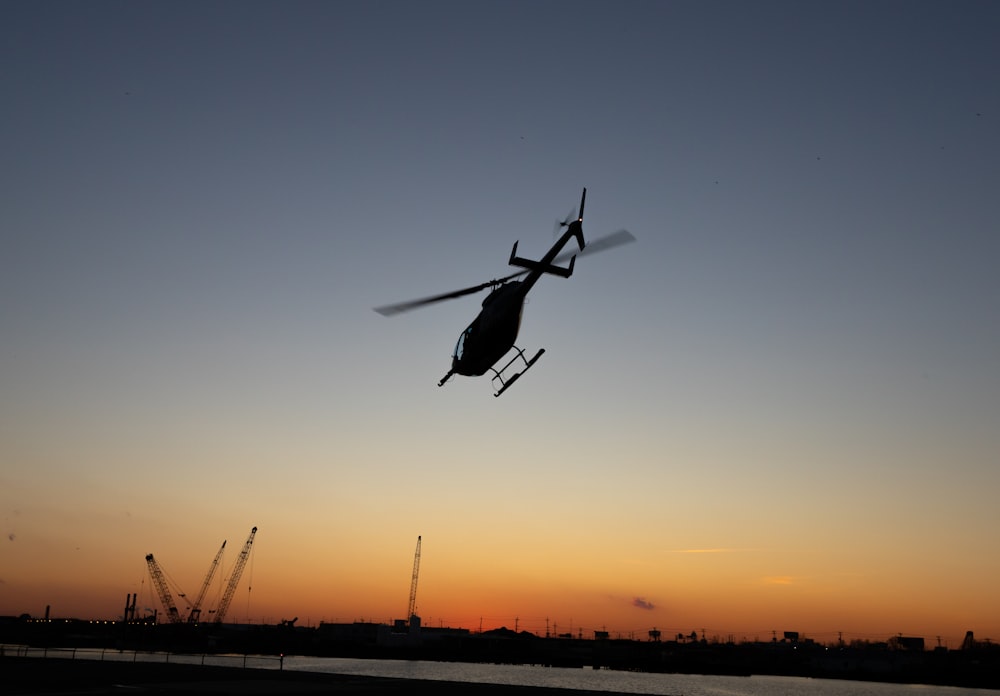 silhouette of flying bird during sunset