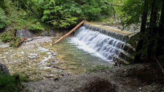 A serene scene featuring a small waterfall cascading over a man-made structure in a lush forest setting. Clear water flows over a dam into a rocky stream below, surrounded by green foliage and trees.