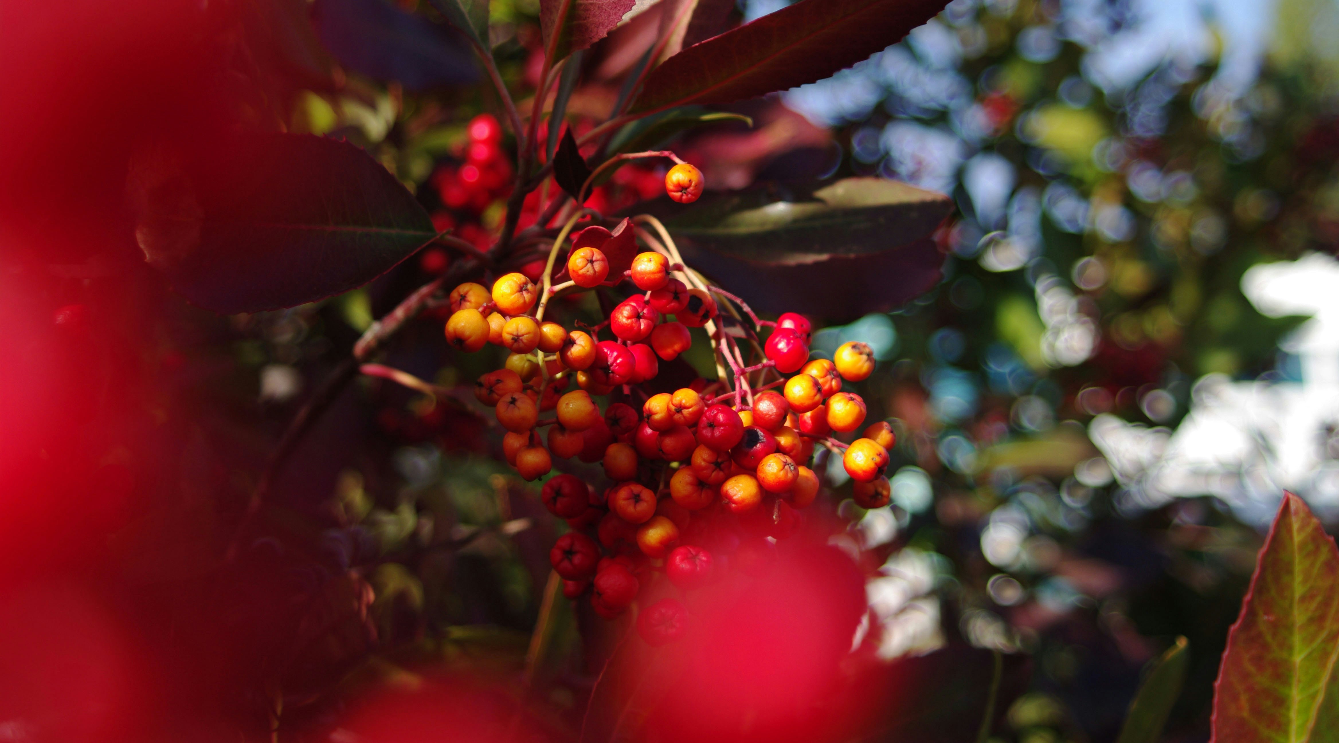 Photo by ev_phone_home