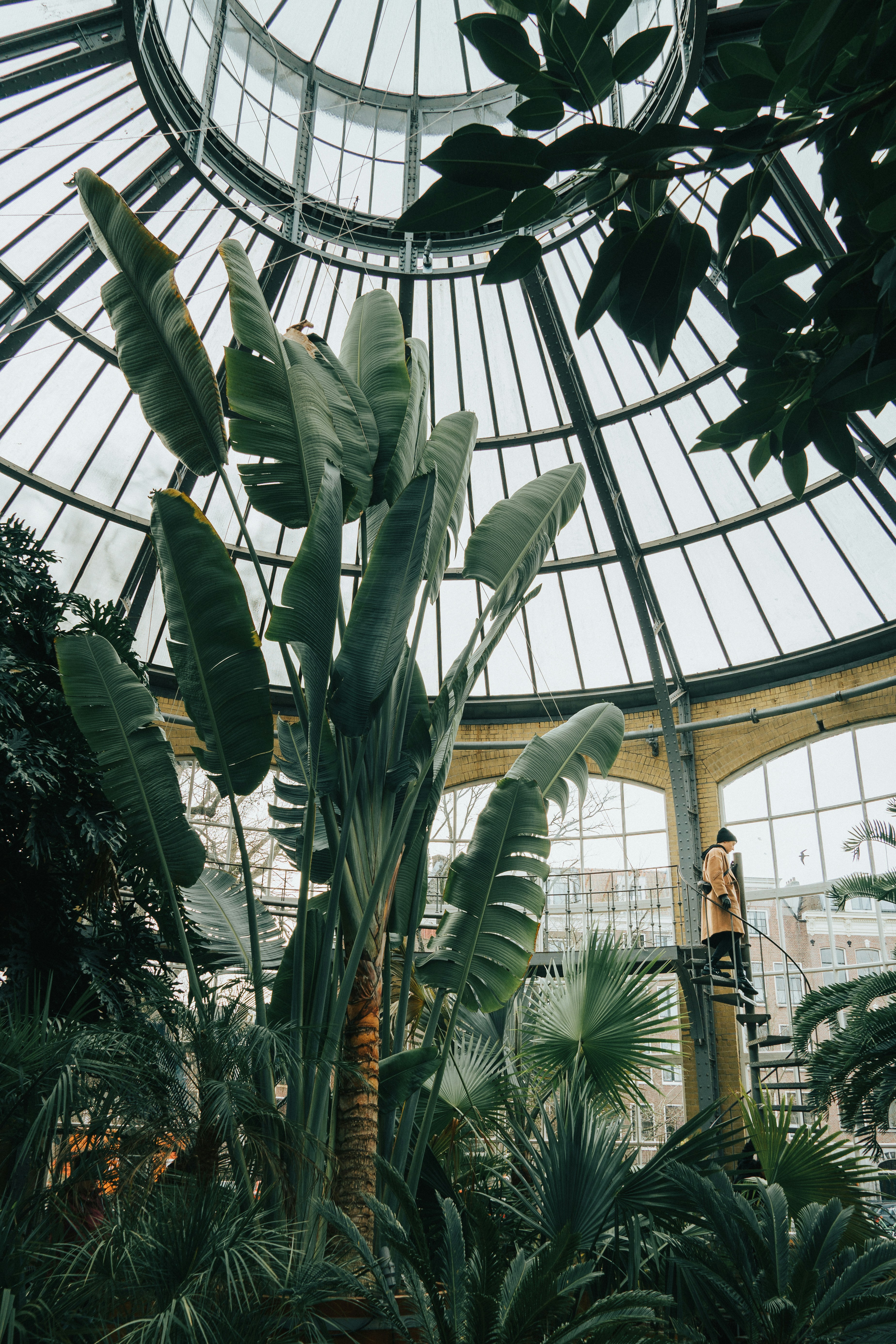 Photo by jeancarloemer