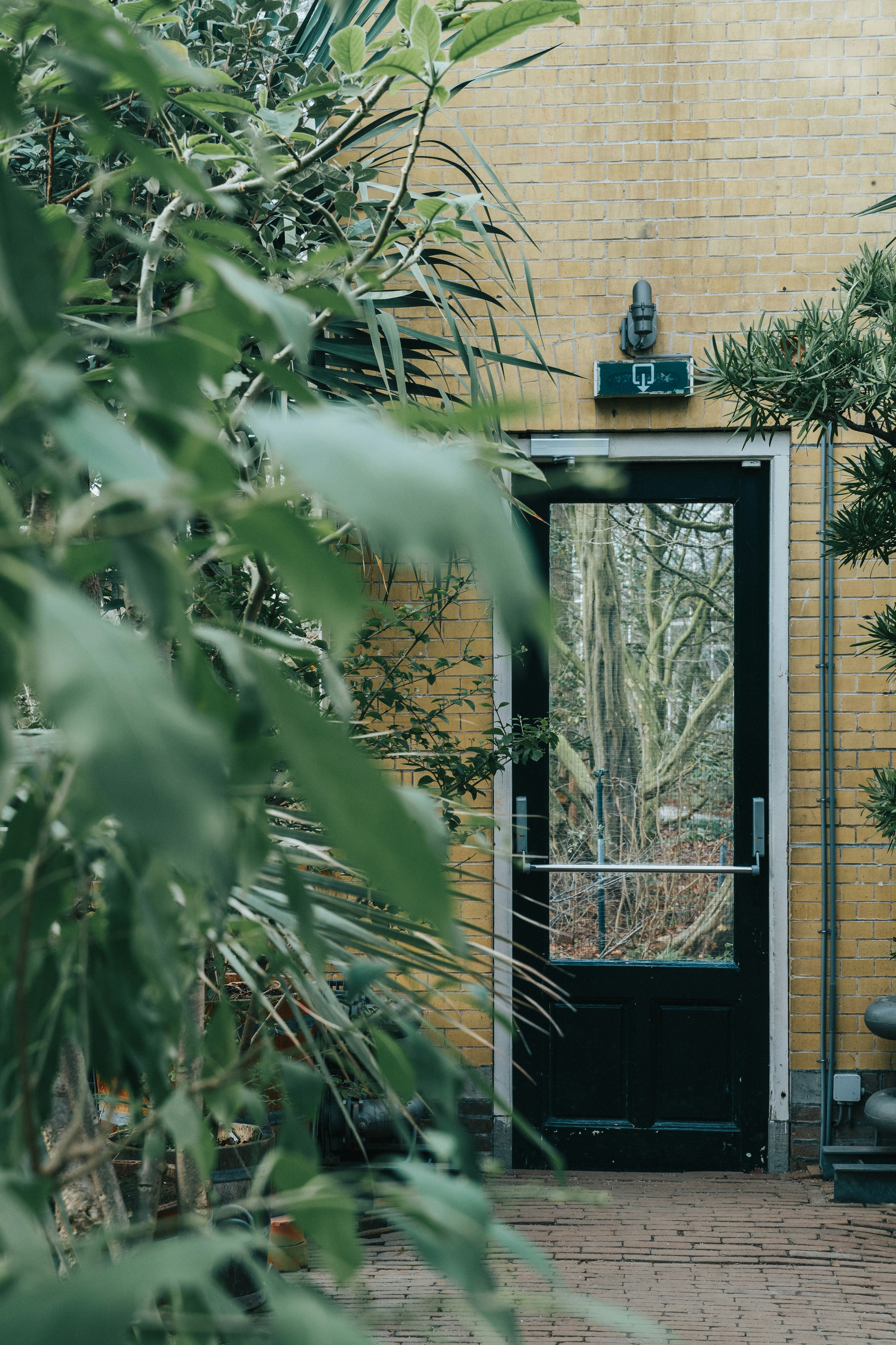 Photo by jeancarloemer