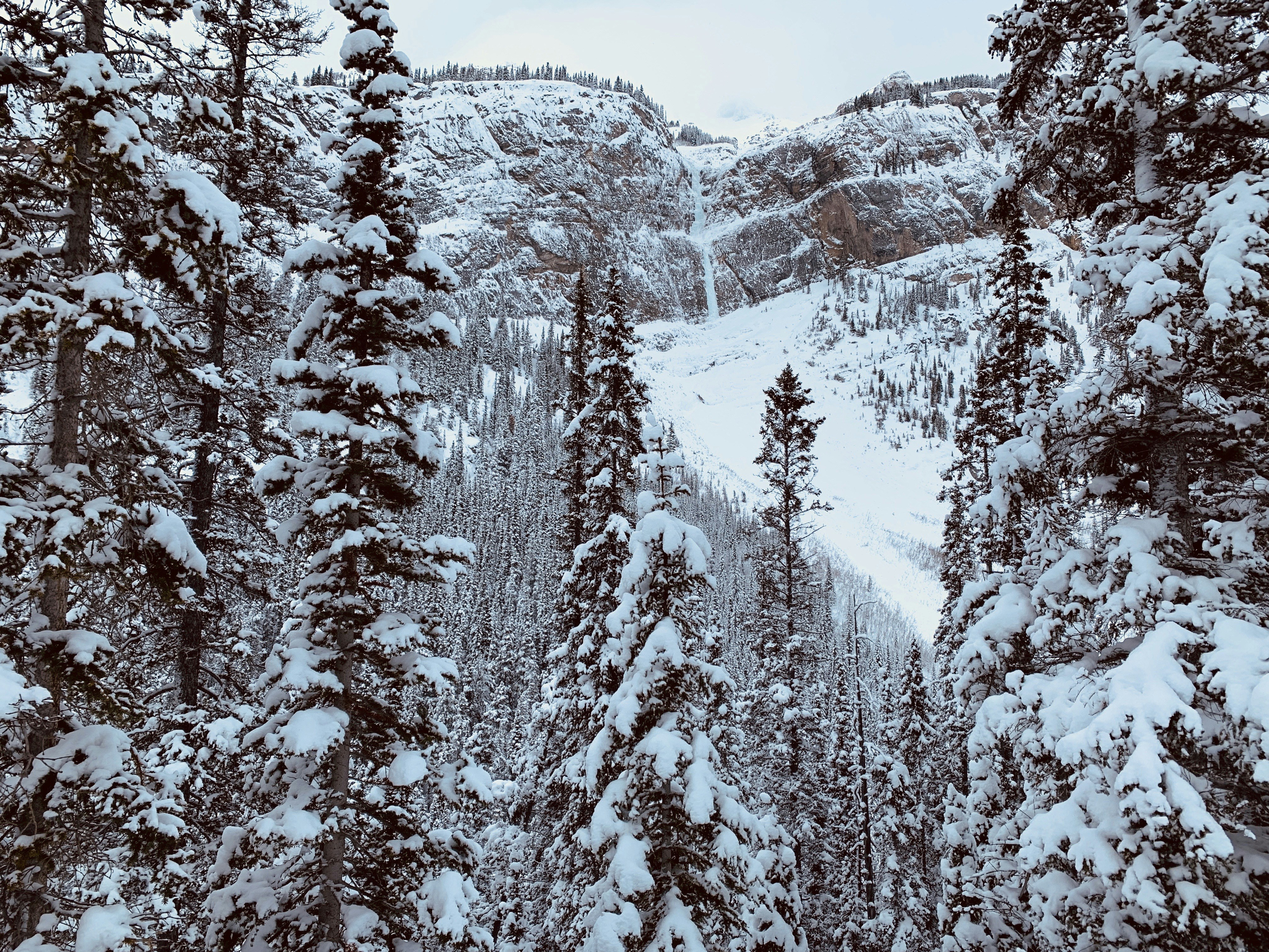 Photo by timhart0421