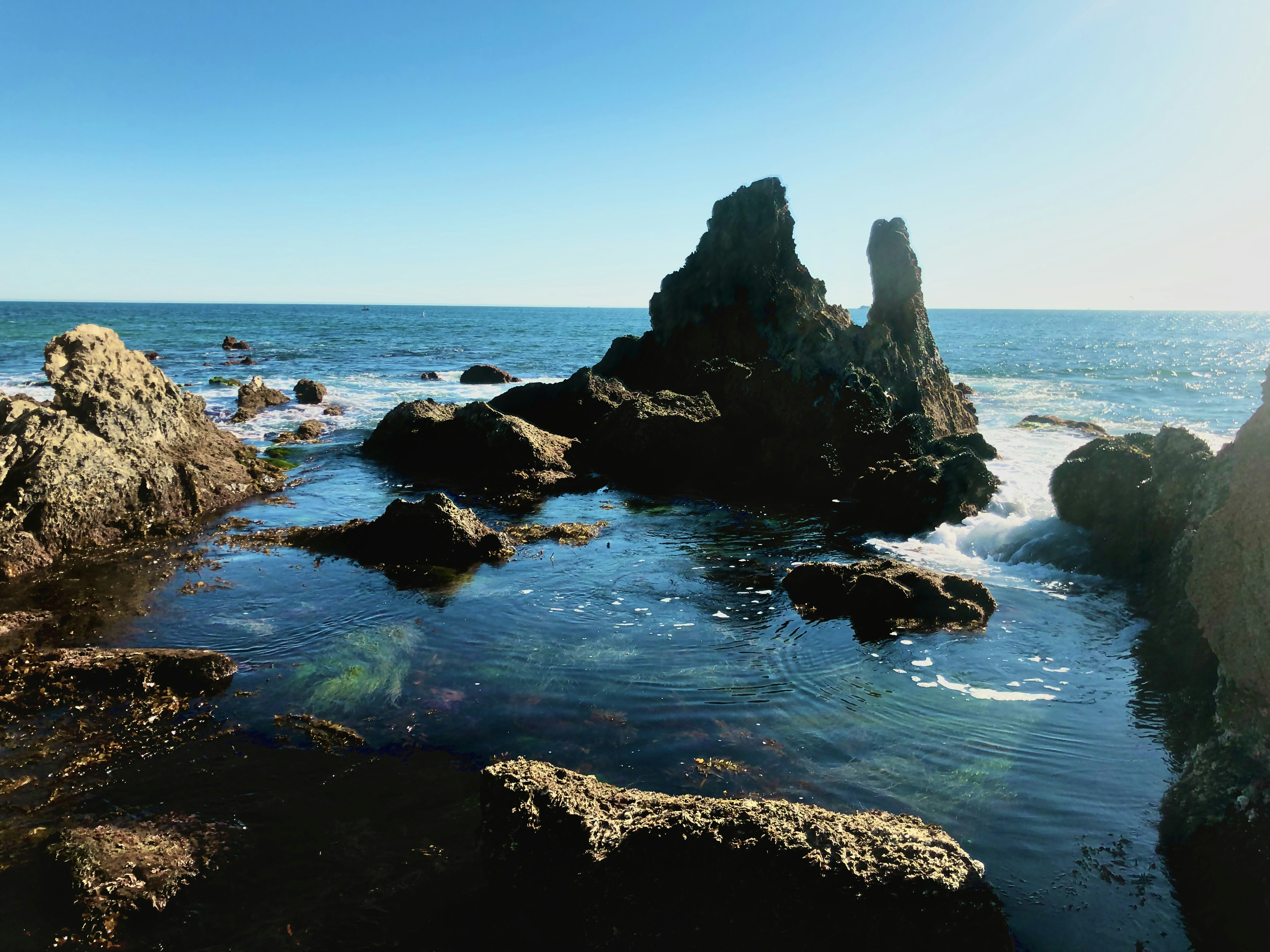 Photo by bluebear_photography