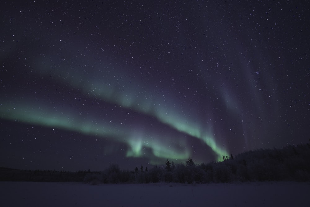 green aurora lights