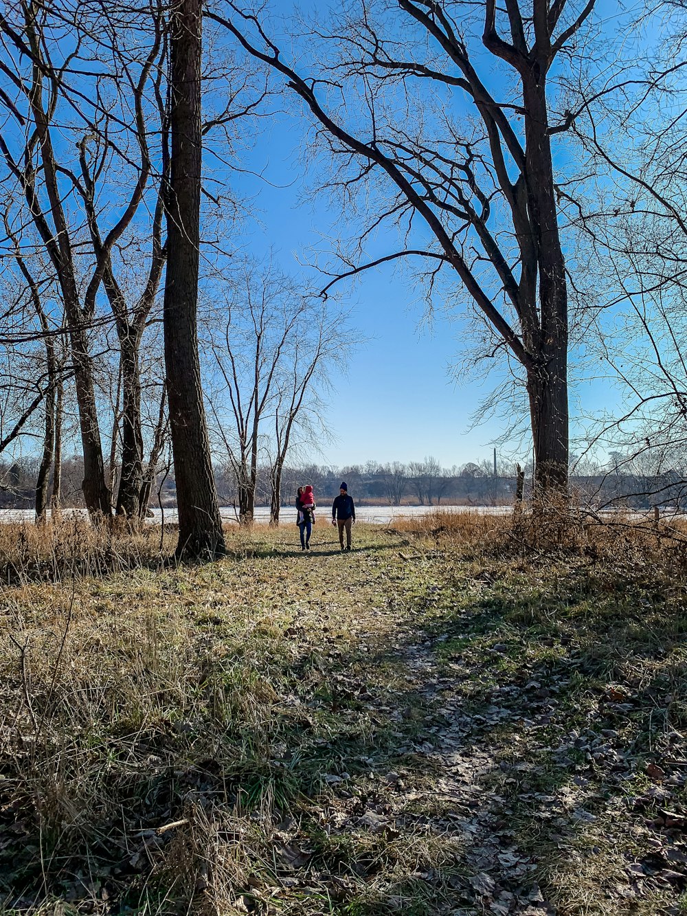 two persons walking beside trees