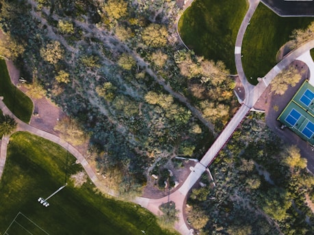 An aerial view of a park area shows a mix of natural and human-made features. Walking paths curve through green spaces with well-maintained lawns. Dense clusters of trees and shrubs create a natural barrier between man-made structures. A pedestrian bridge spans a section, connecting different areas. Nearby, sports courts with vibrant blue and green colors indicate recreational facilities.