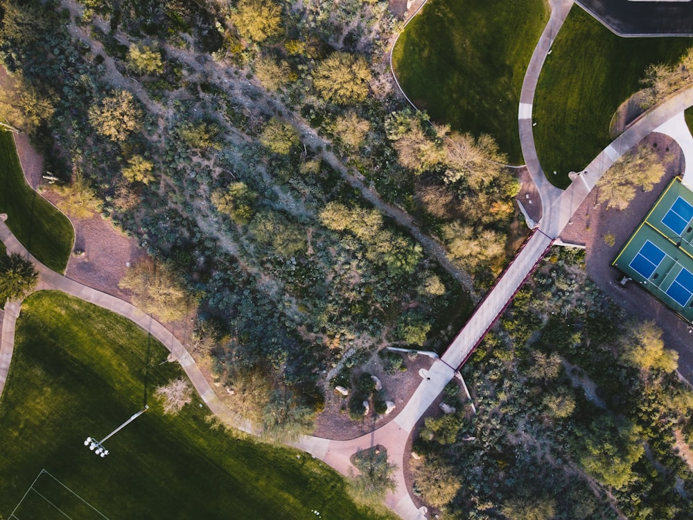 aerial view of green trees and river