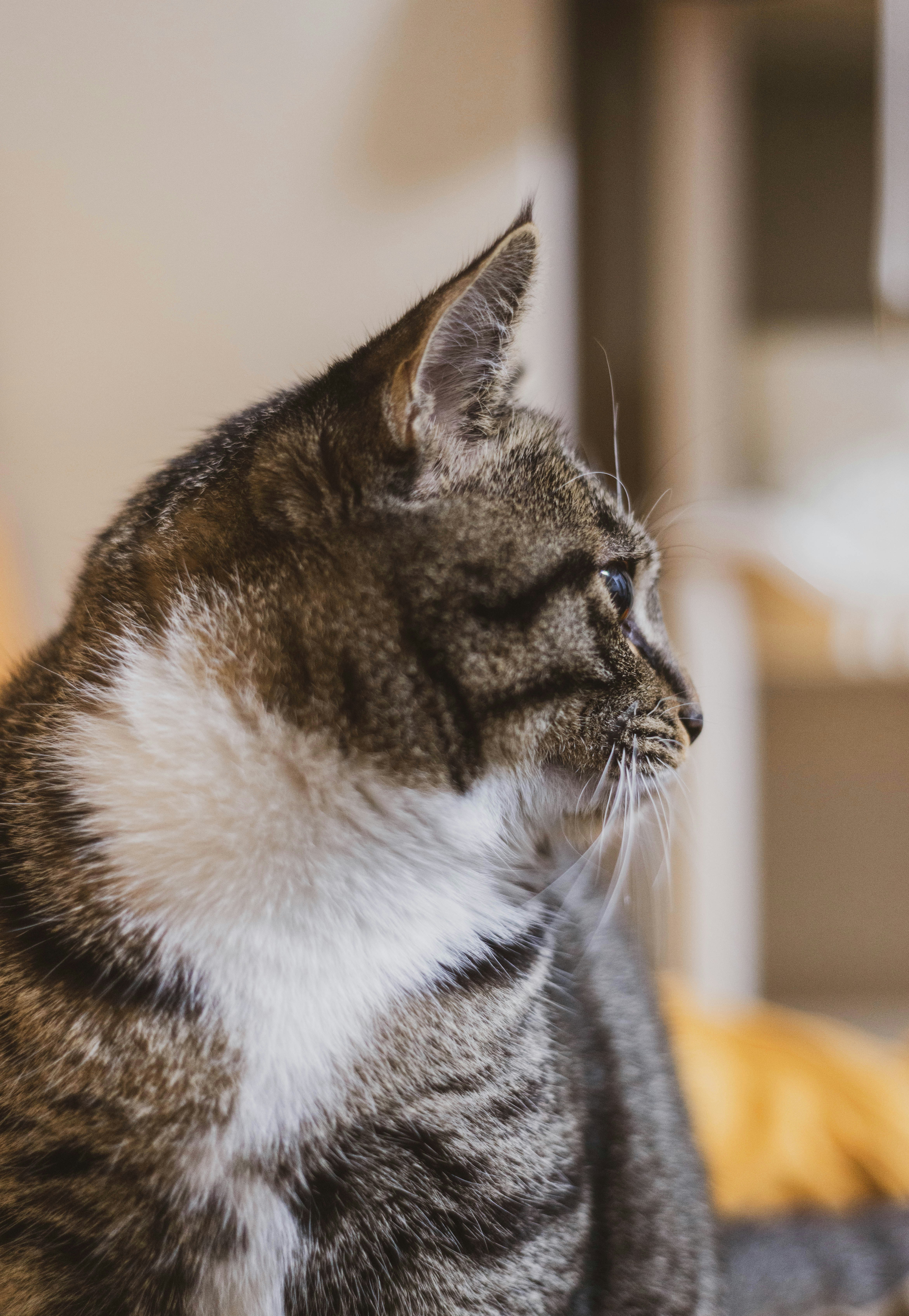 Photo by yooho962464