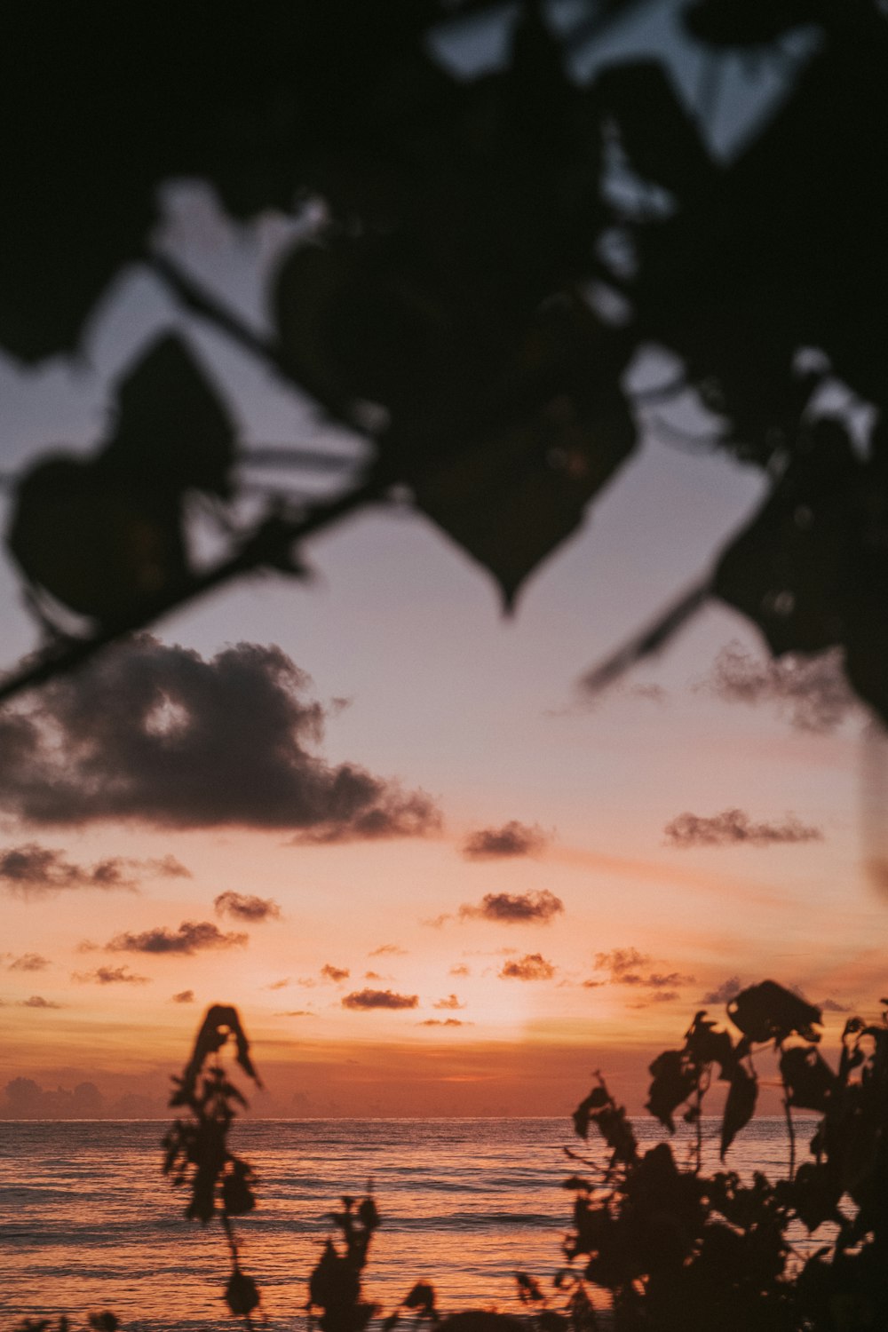 silhouette of people on beach during sunset