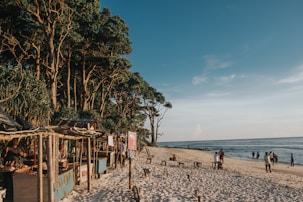 people on beach during daytime