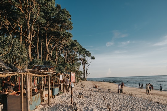 people on beach during daytime