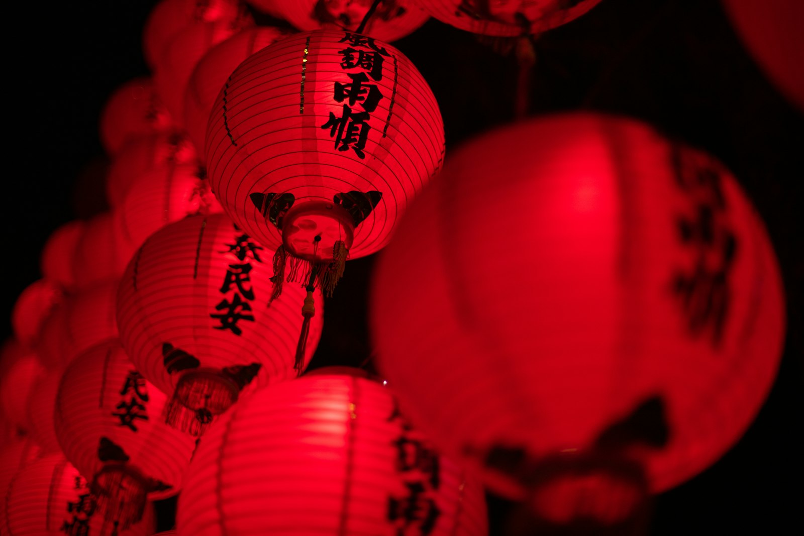 Sony a7R III + Canon EF 50mm F1.4 USM sample photo. Turned-on paper lantern photography