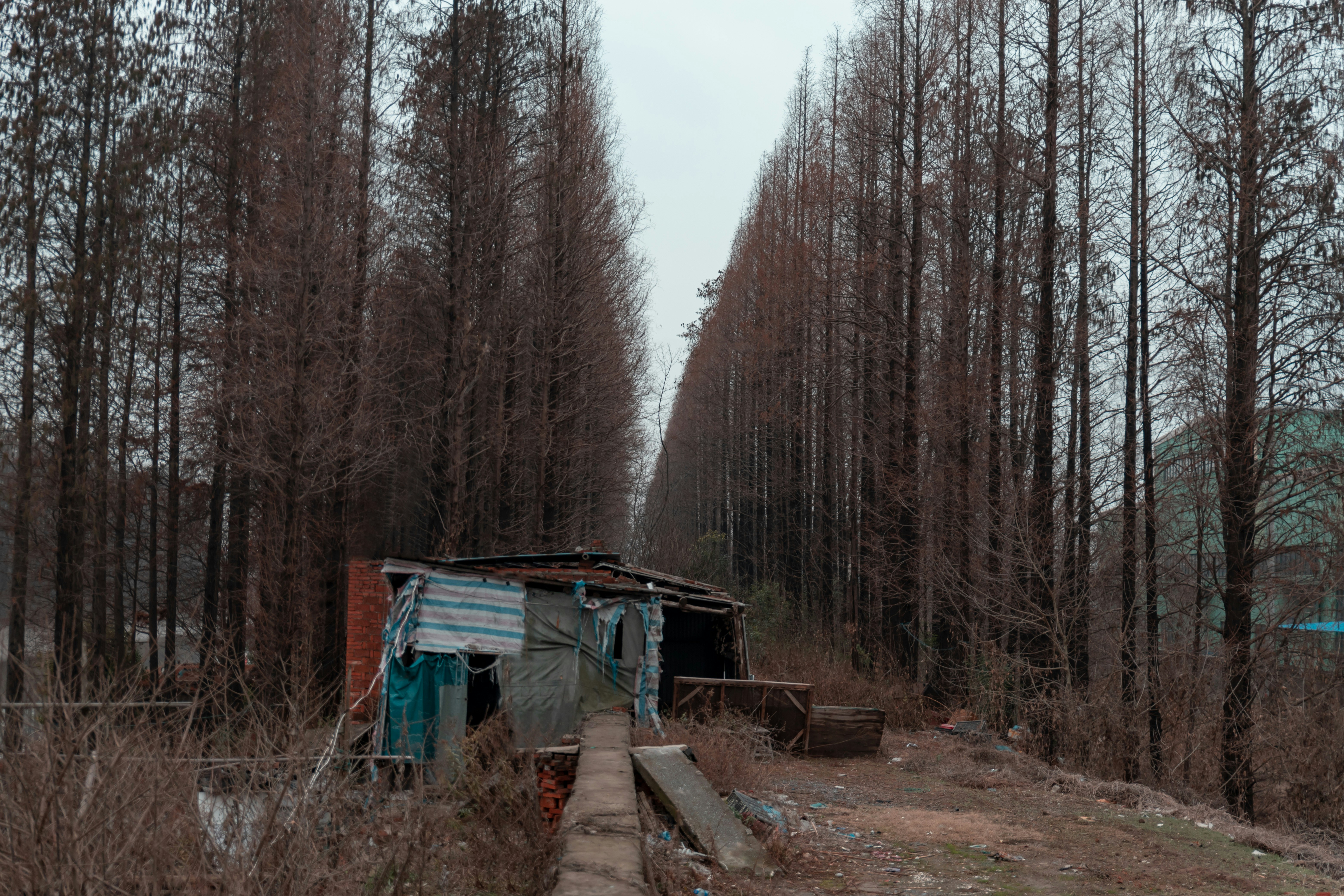 柳州网站建设桂林