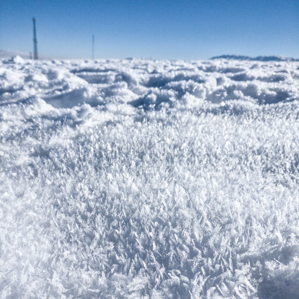 snow covered field under blue sky during daytime