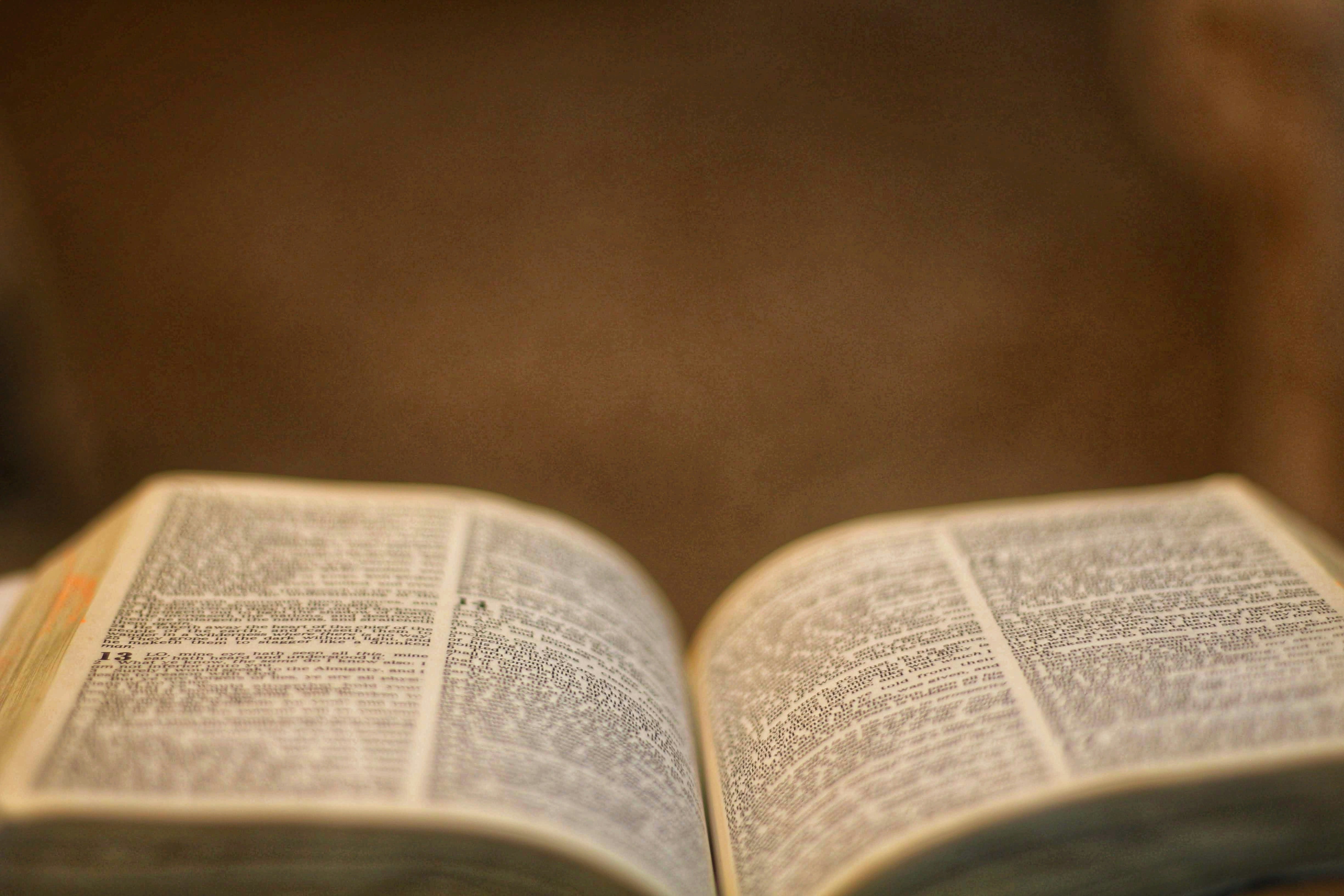 Photo by joshua_hoehne