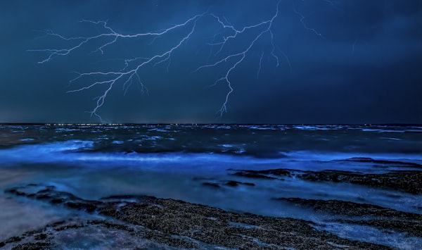 Milky way over Florida wetlands at night
