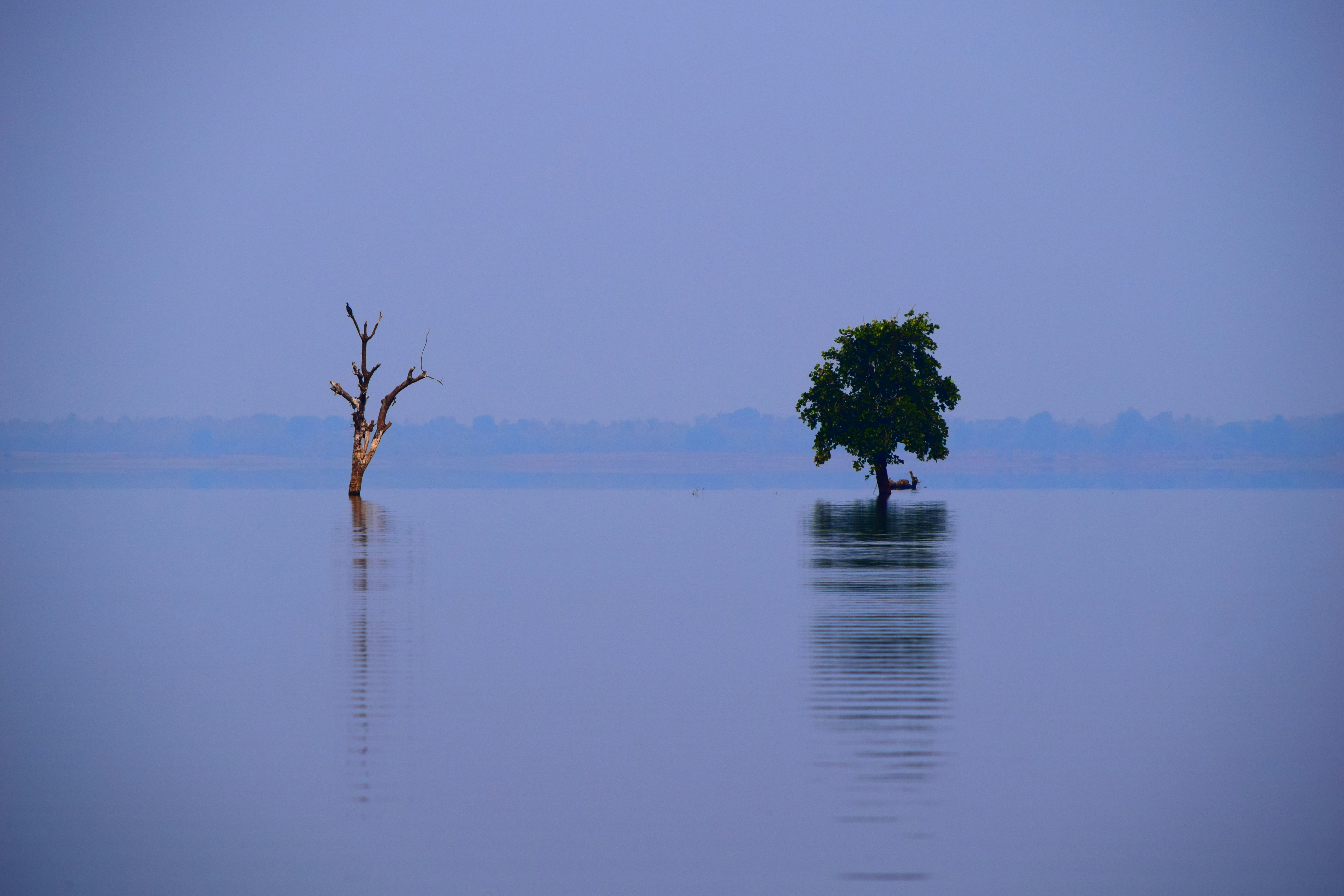 Photo by rrajputphotography