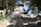 A rustic stone pathway leads through dappled sunlight towards a traditional hut made of wooden and stone materials, nestled among dense trees and lush greenery. The structure has a cone-shaped roof and rough, weathered texture that blends with the natural surroundings.