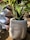 A ceramic planter shaped like a serene face holds an aloe plant. The pot is speckled with black dots on a white background. There are mosaic-style decorated blocks and other greenery in the background, suggesting a garden setting.