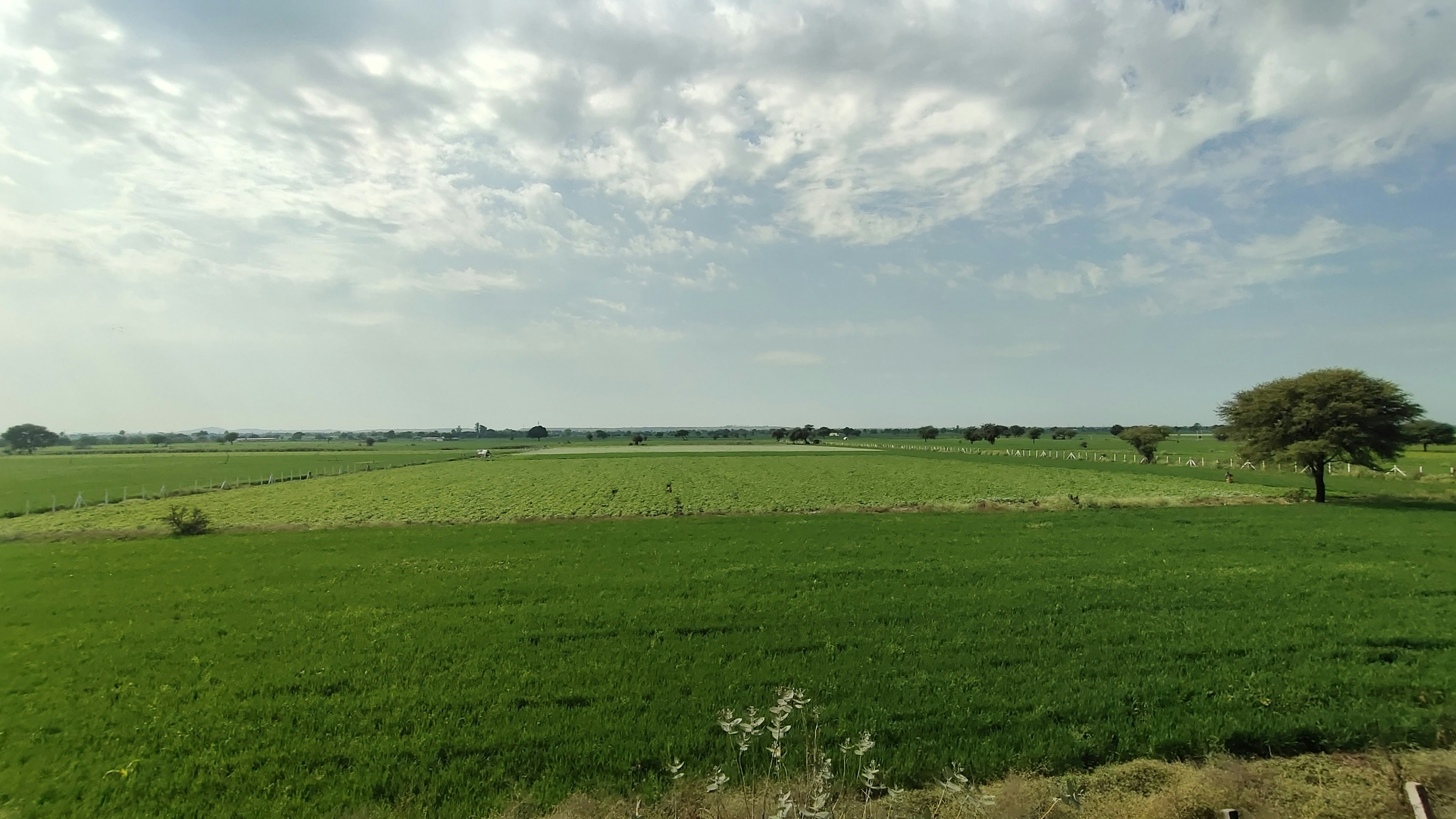 Photo by em_ankitt14