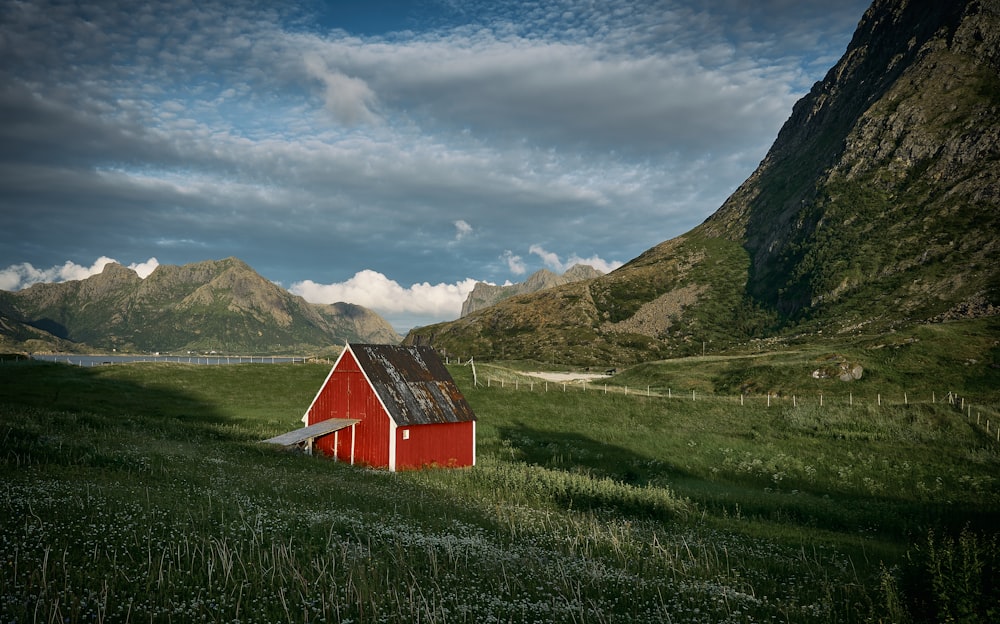 red house on field