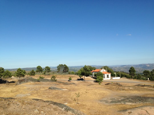 green trees and brown field under blue sky during daytime in Vila Real Portugal