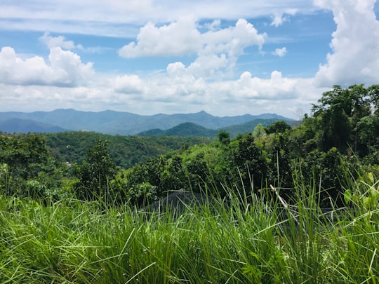 green grass field under white clouds and blue sky during daytime in Chiang Mai Thailand