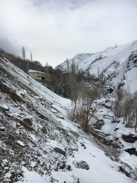 snow covered mountain during daytime in Chalus Iran