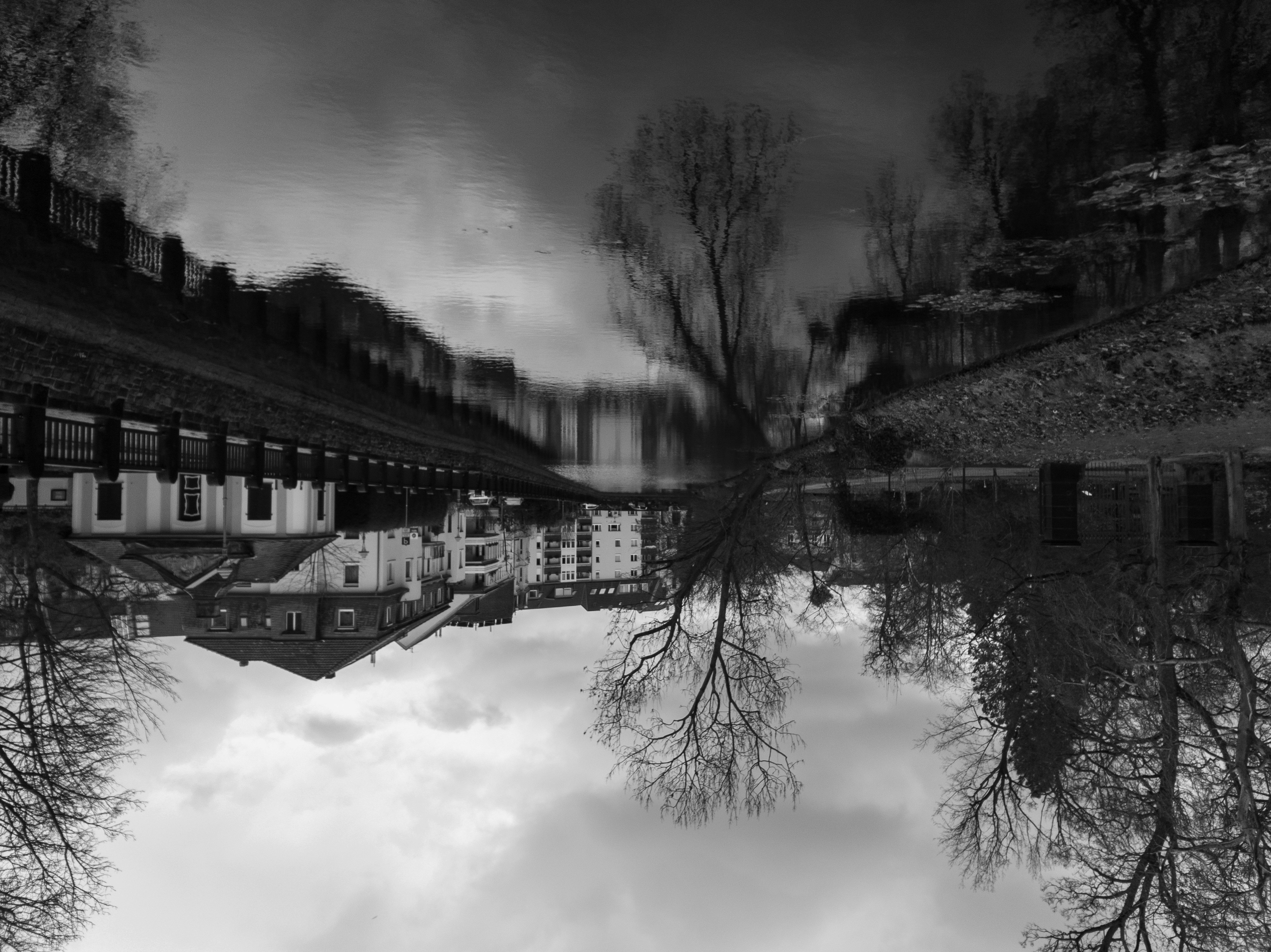 grayscale photo of trees and houses