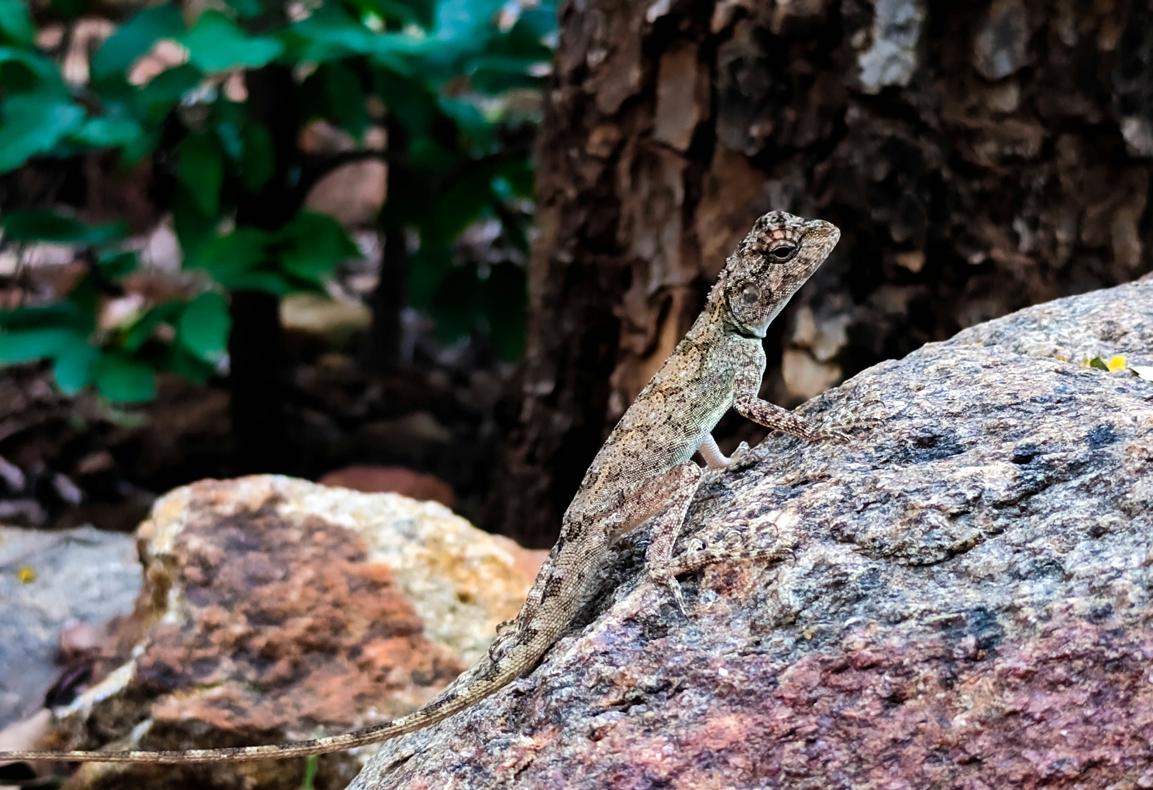 Photo by yuvraj_shivhare