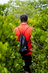man in red hoodie standing in front of green plants during daytime