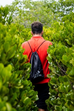 man in red hoodie standing in front of green plants during daytime