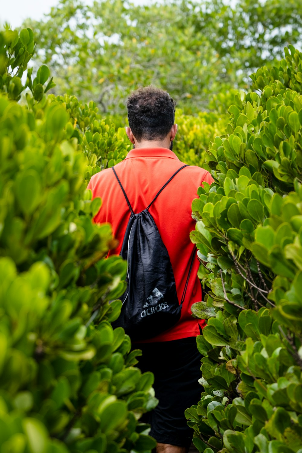 man in red hoodie standing in front of green plants during daytime