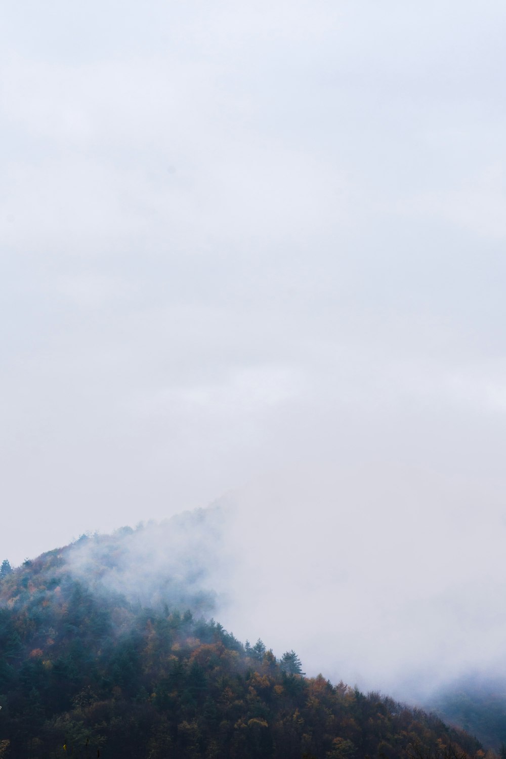 arbres verts sur la montagne sous les nuages blancs pendant la journée