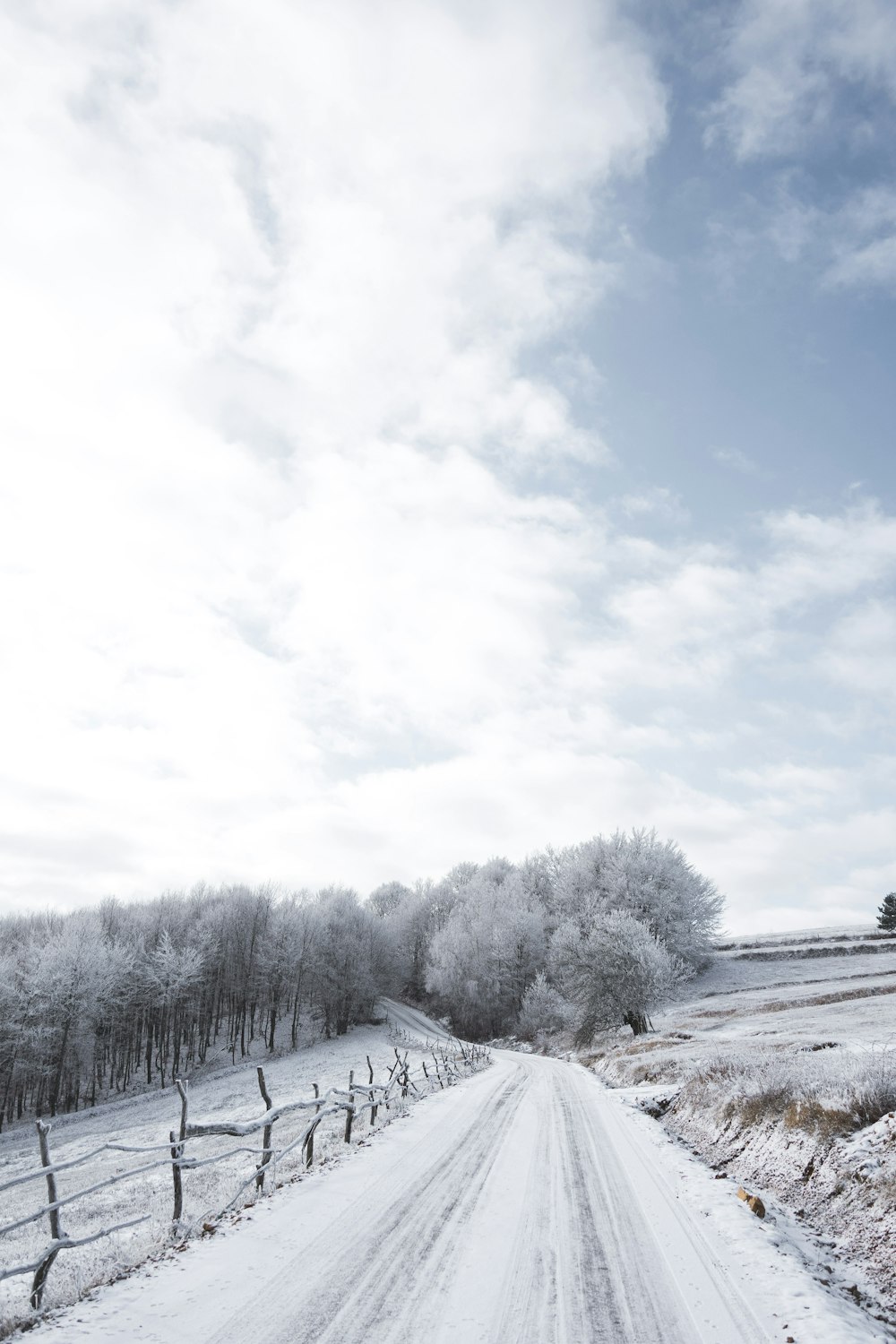 white wooden house near trees under white clouds and blue sky during daytime