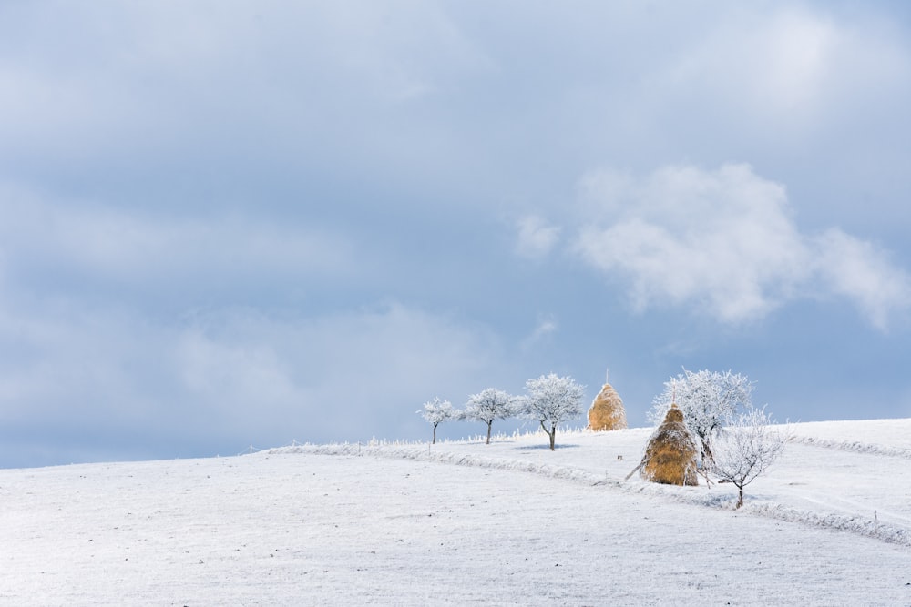 brown rock formation on snow covered ground under white clouds during daytime